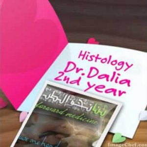 Histology Dr Dalia Skin 2 a